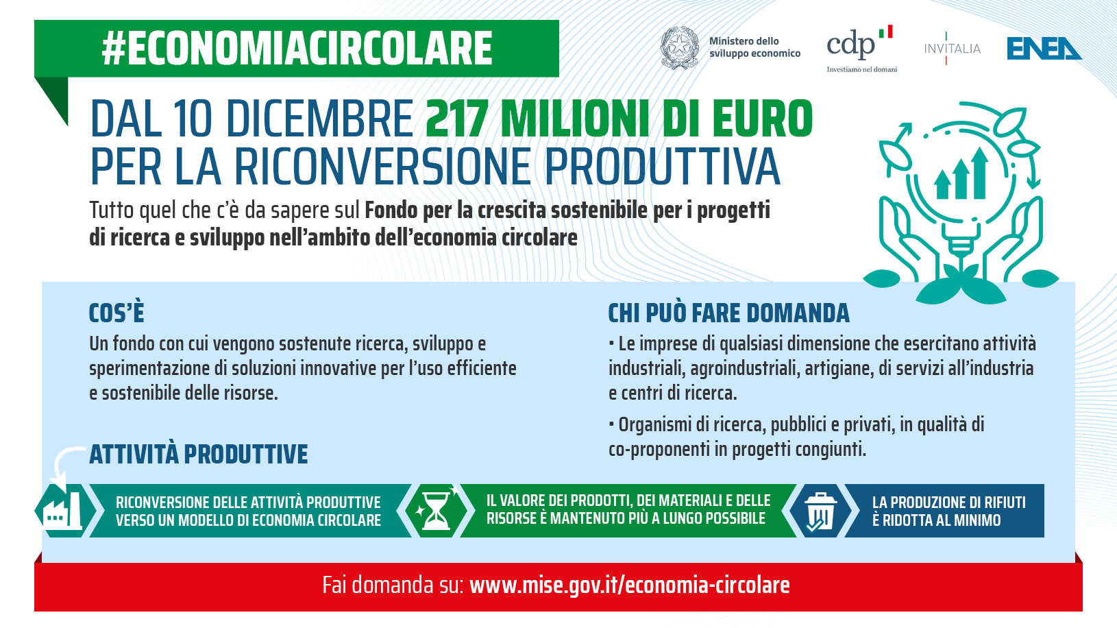 Infografica di sintesi