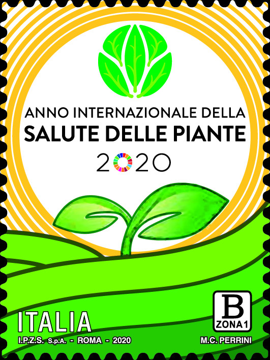 Immagine decorativa